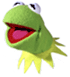 mailto:kermit@catamaransegeln.de